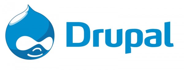 Drupal-Development-Raybiztech.jpg